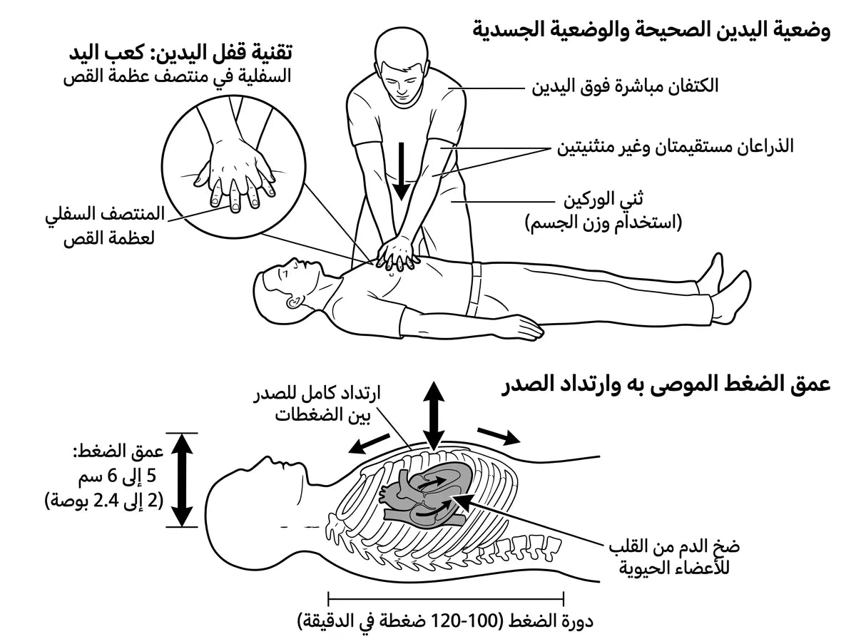 فلاشة تعلم CCNA
